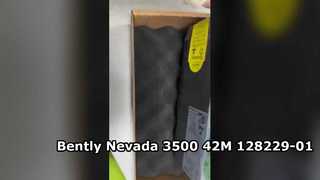 128229-01 বেন্টলি নেভাদা 3500 42M সিসমিক মনিটর