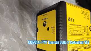 KJ2201X1-PW1 এমারসন ডেল্টা ভি রিডান্ড্যান্ট এসএলএস টার্মিনাল ব্লক